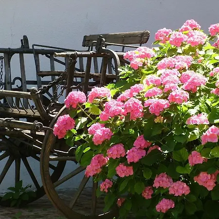 Hajos-haz Appartement Szeged
