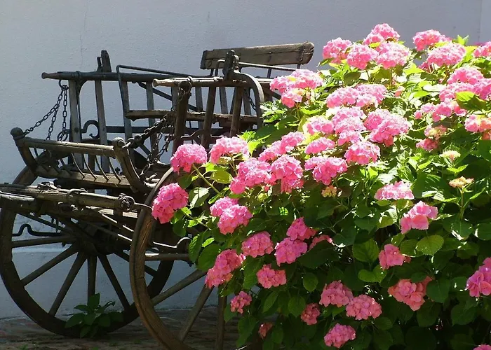 Hajos-haz Appartement Szeged